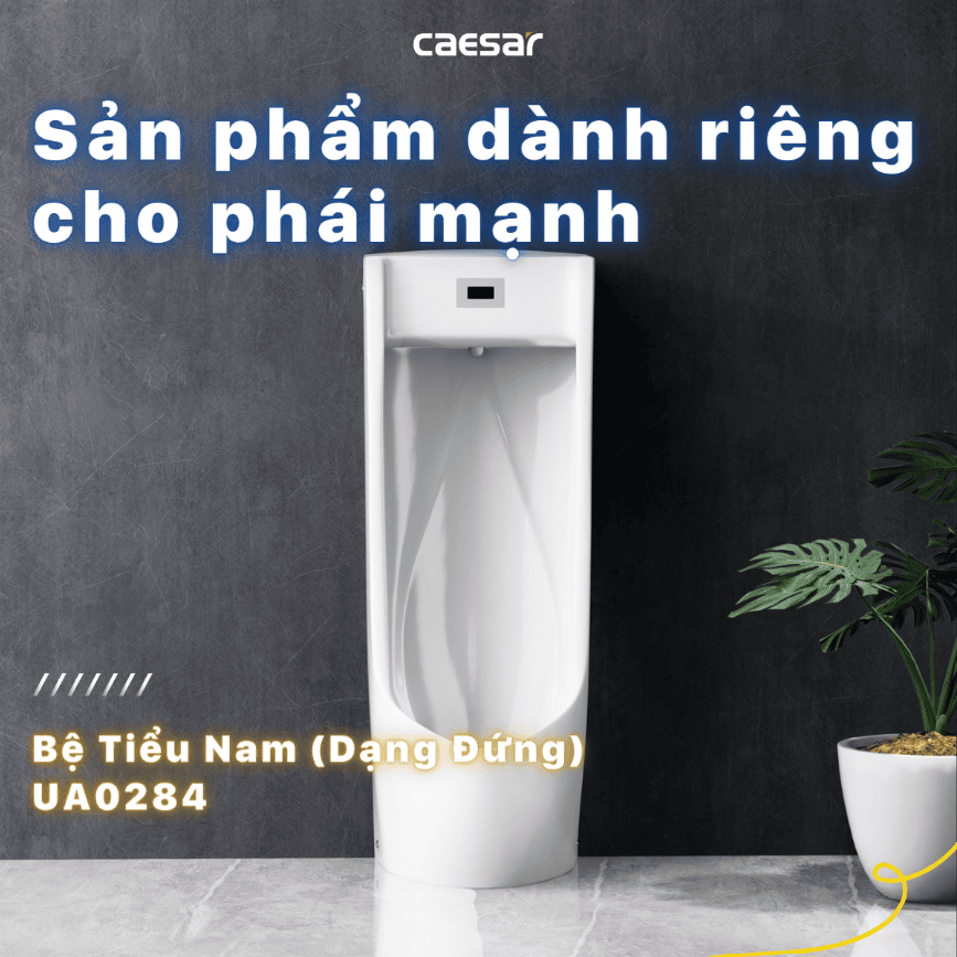 CÔNG TY THIẾT BỊ VỆ SINH ĐÔNG ANH