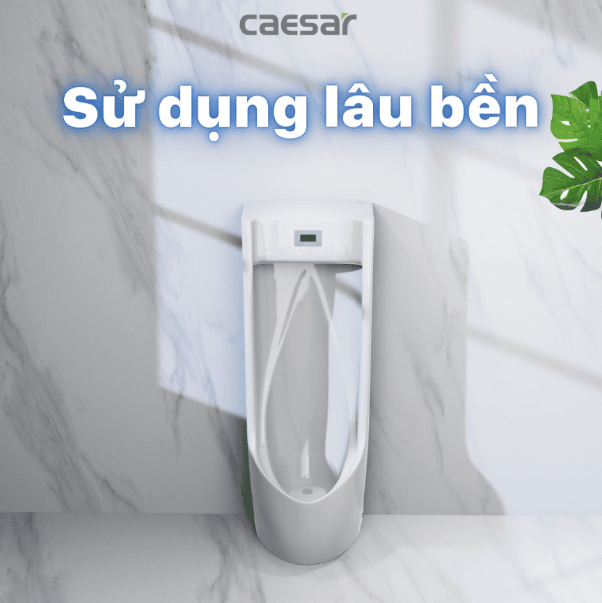 CÔNG TY THIẾT BỊ VỆ SINH ĐÔNG ANH