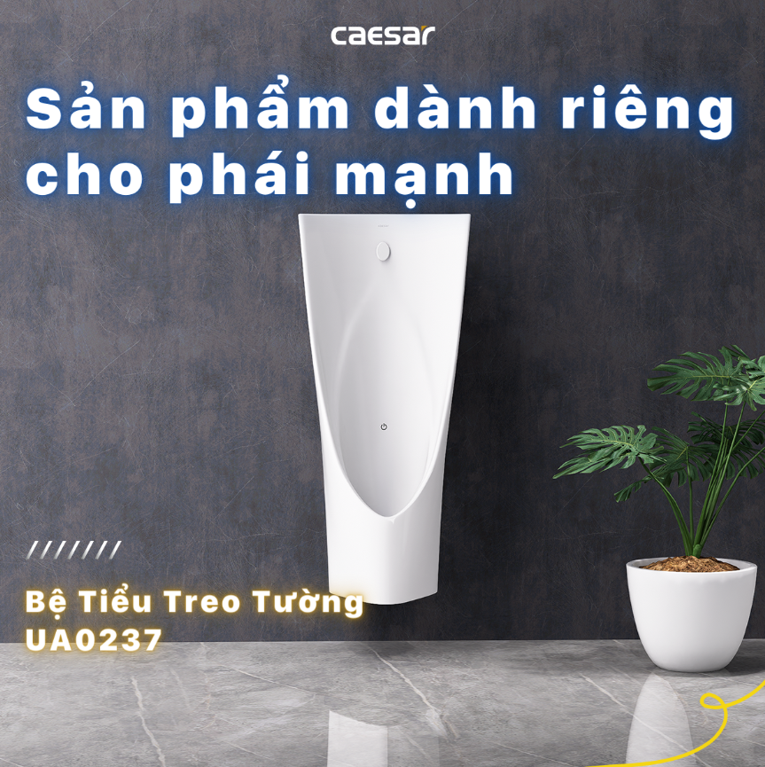 CÔNG TY THIẾT BỊ VỆ SINH ĐÔNG ANH