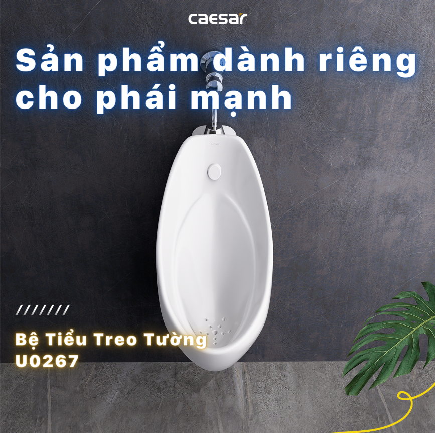 CÔNG TY THIẾT BỊ VỆ SINH ĐÔNG ANH