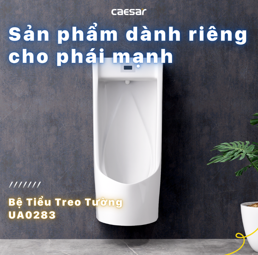 CÔNG TY THIẾT BỊ VỆ SINH ĐÔNG ANH