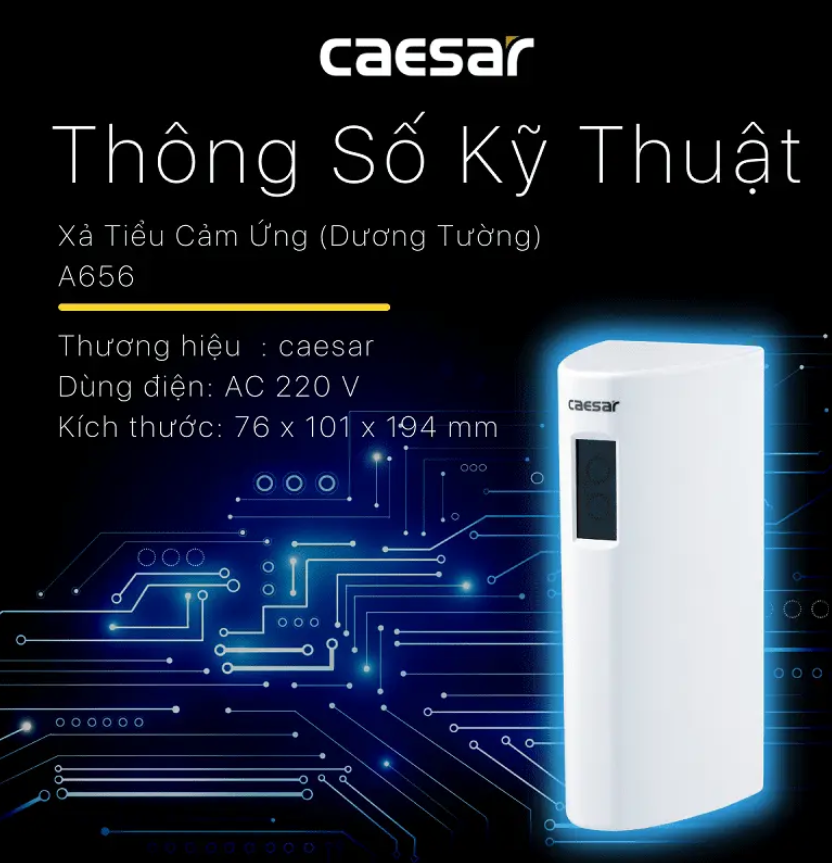 CÔNG TY THIẾT BỊ VỆ SINH ĐÔNG ANH