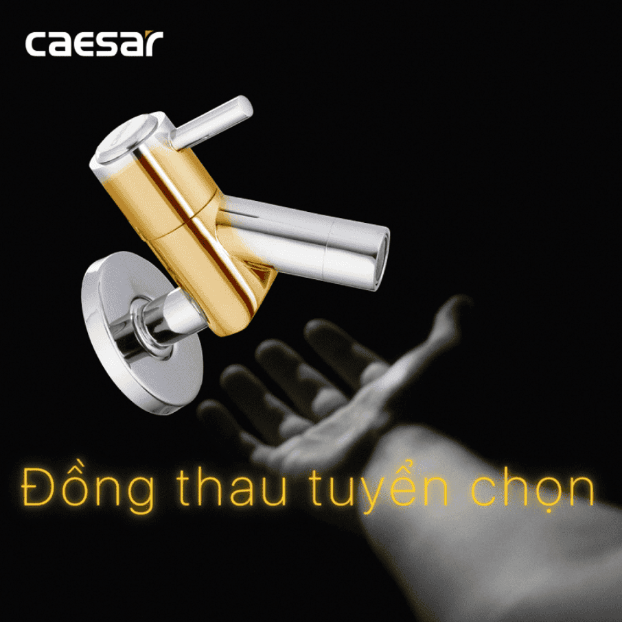 CÔNG TY THIẾT BỊ VỆ SINH ĐÔNG ANH