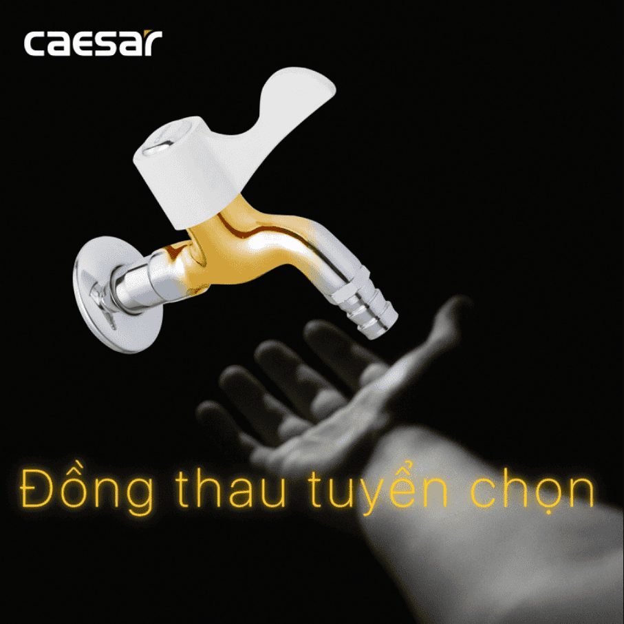 CÔNG TY THIẾT BỊ VỆ SINH ĐÔNG ANH