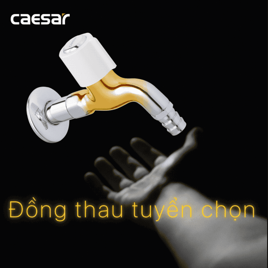 CÔNG TY THIẾT BỊ VỆ SINH ĐÔNG ANH