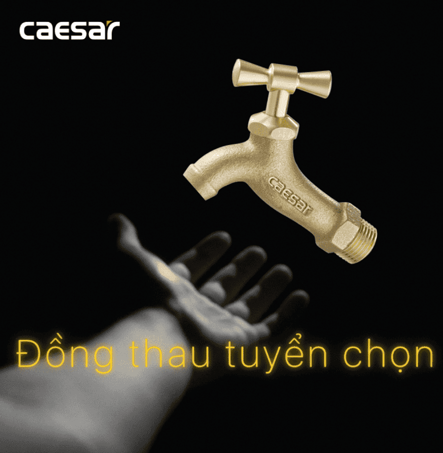 CÔNG TY THIẾT BỊ VỆ SINH ĐÔNG ANH