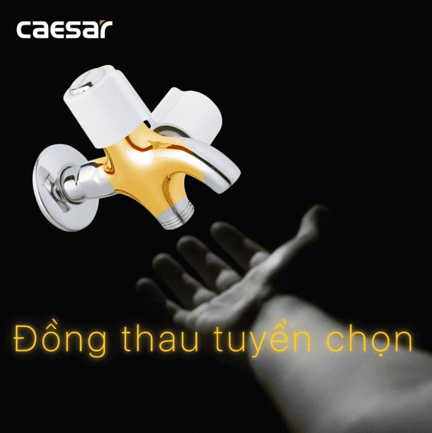 CÔNG TY THIẾT BỊ VỆ SINH ĐÔNG ANH